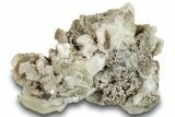 Twinned Calcite Crystals with Dolomite - New York #251206-1